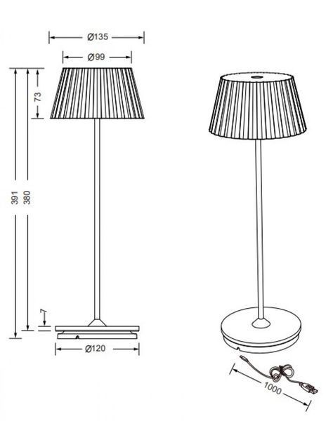 Светильник декоративный SUAREZ Trio R57706131 Trio_R57706131 фото